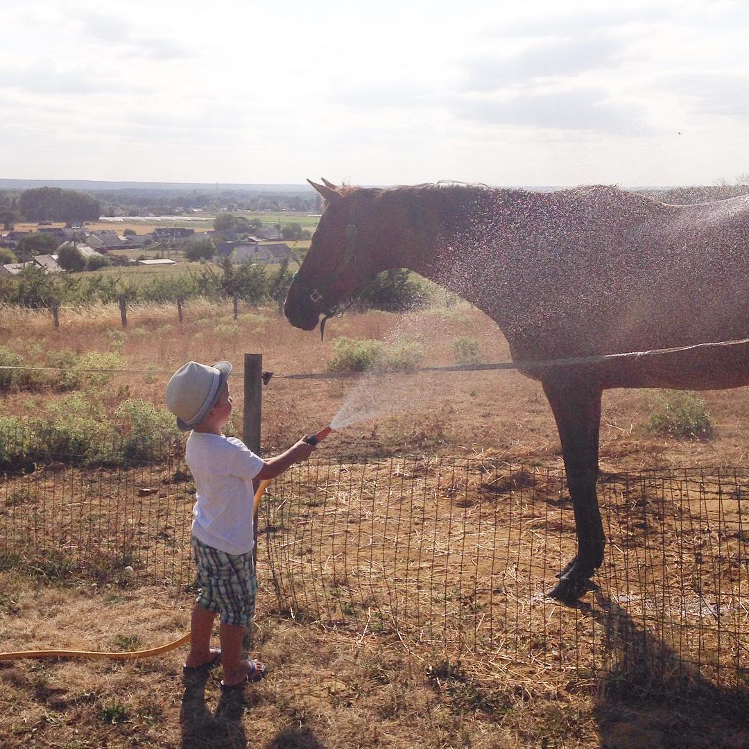 Mon petit palefrenier instakid cheval saumur vacances chezpapymamie