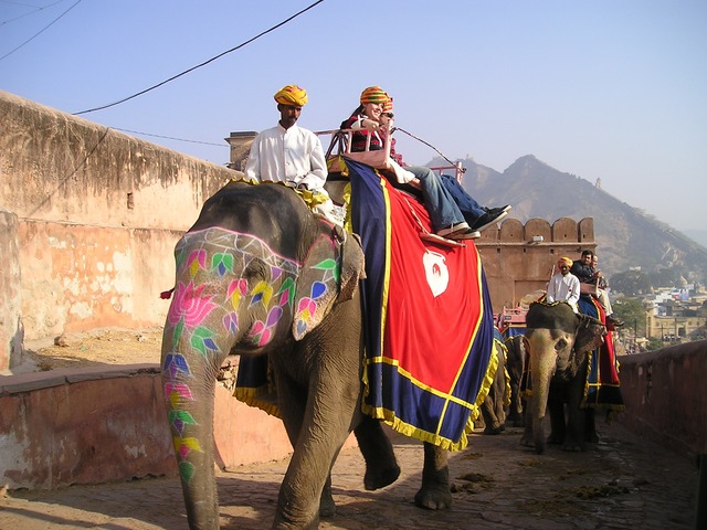 inde éléphant