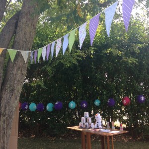 jardin frozen party