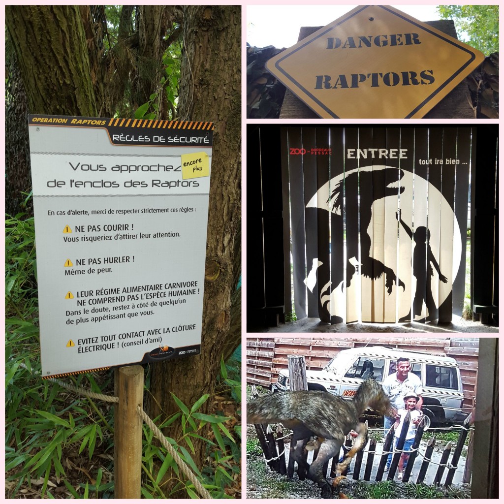 collage défi raptor zoo bordeaux pessac